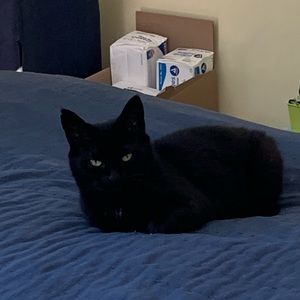 Meet your Posher, Debbie